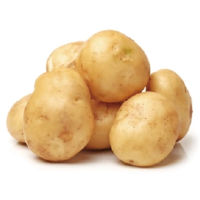 さつ姫®(さつき)イメージ